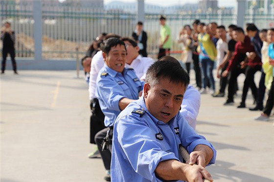 欣靈行政隊(duì)