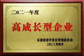2021年度高成長(zhǎng)型企業(yè)_欣靈
