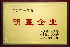 欣靈-2023年度柳市鎮(zhèn)明星企業(yè)