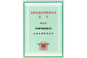 <font color='red'>欣靈電氣</font>樂(lè)清市成長(zhǎng)型科技企業(yè)